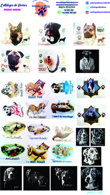 catalogo uno perros perros