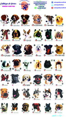 catalogo uno perros perros