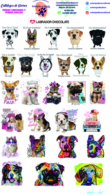 catalogo uno perros perros