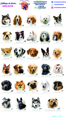 catalogo uno perros perros