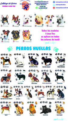 catalogo uno perros perros