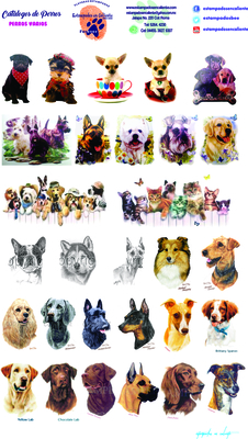 catalogo uno perros perros