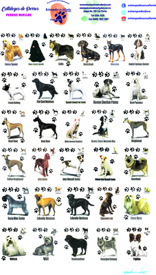 catalogo uno perros perros