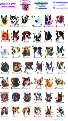 catalogo uno perros perros