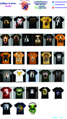 animales animales
