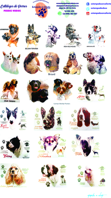 catalogo uno perros perros