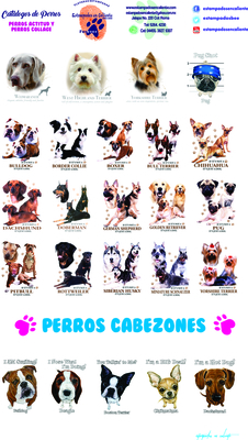 catalogo uno perros perros